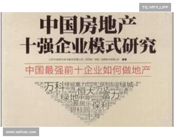 稳健发展地产企业评选标准解析与实施路径探讨